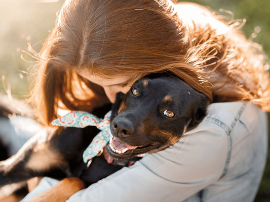 How to Choose the Right Pet for Your Family