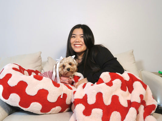 Pet Summer Fashion Trends
