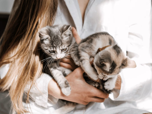 The Benefits of Adopting Shelter Pets