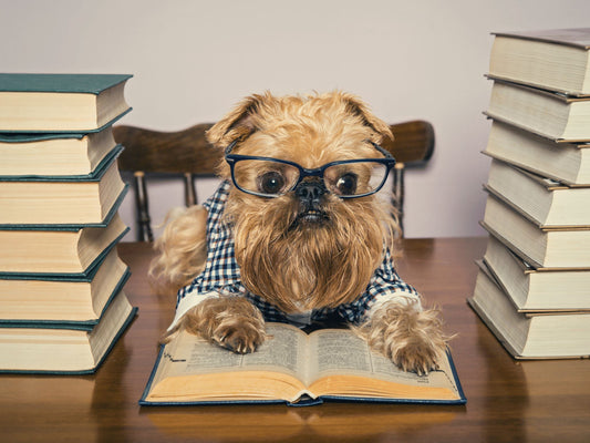 The Science Behind Pet Behavior