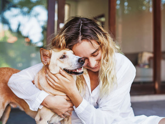 Emergency Preparedness for Pet Owners