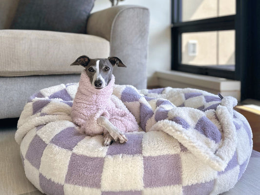 Dress to Impress: Must-Have Fall Clothes for Dogs
