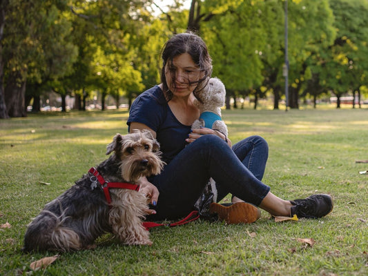 Summer Activities to Do With Your Pet in the City