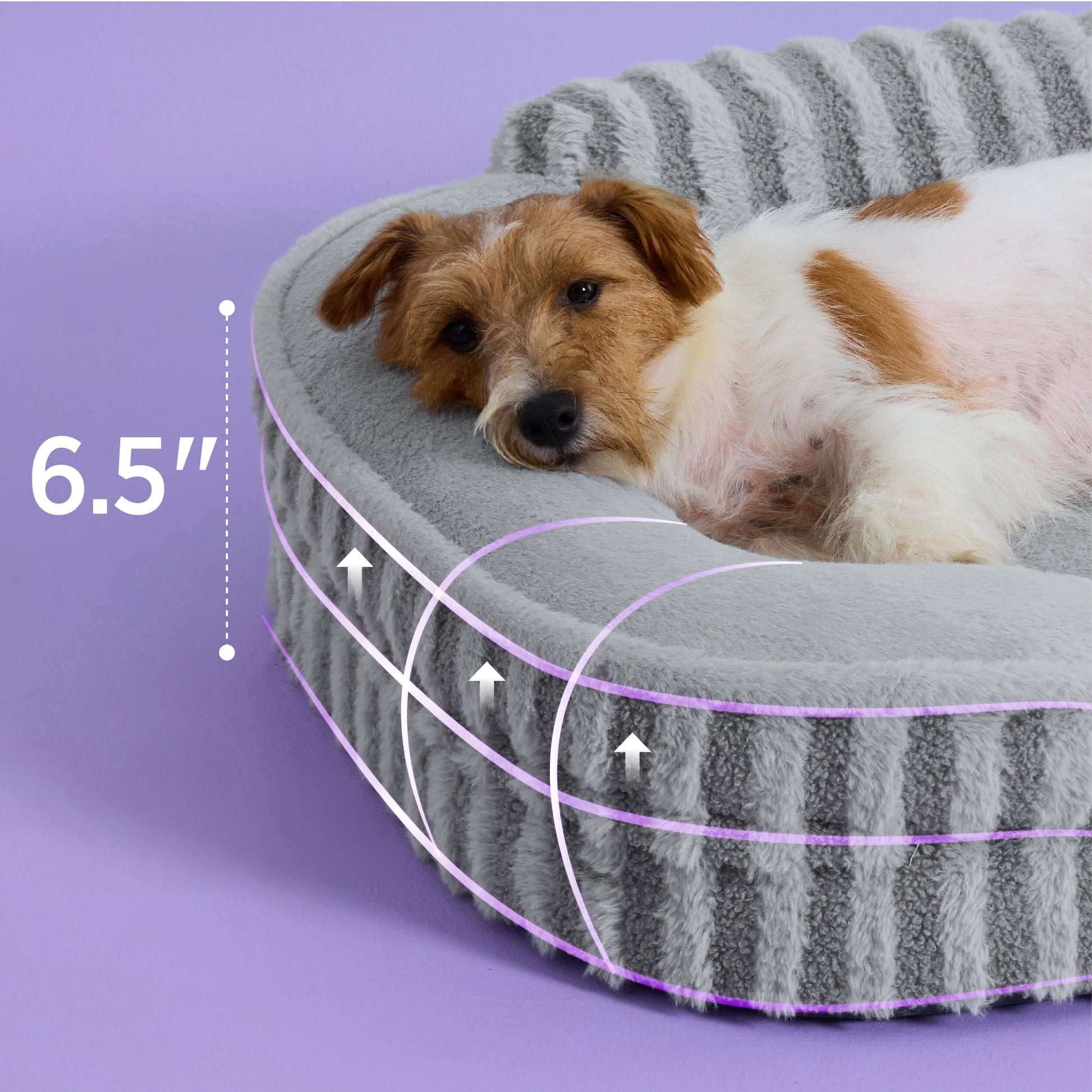 Lesure High Back Pet Sofa Pet Bed Lesure Pet
