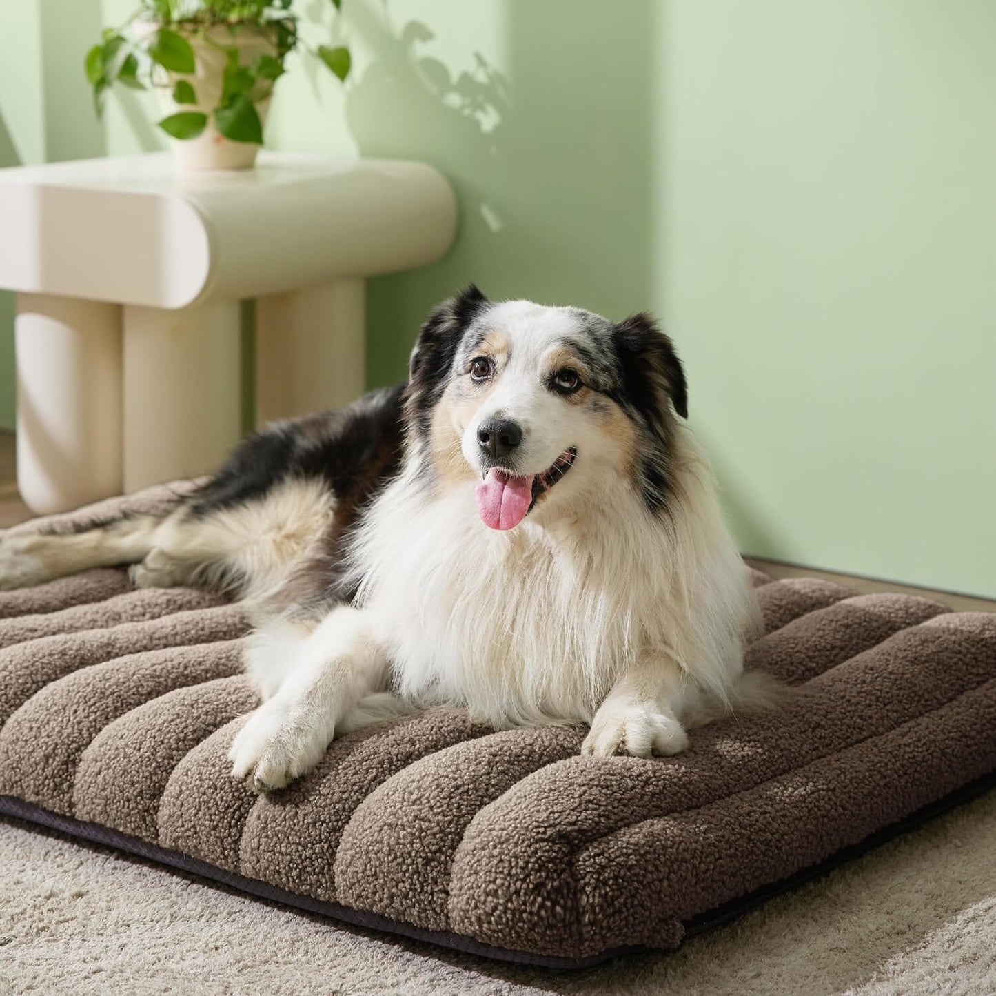 Lesure Orthopedic Dog Bed Pet Bed Lesure Pet