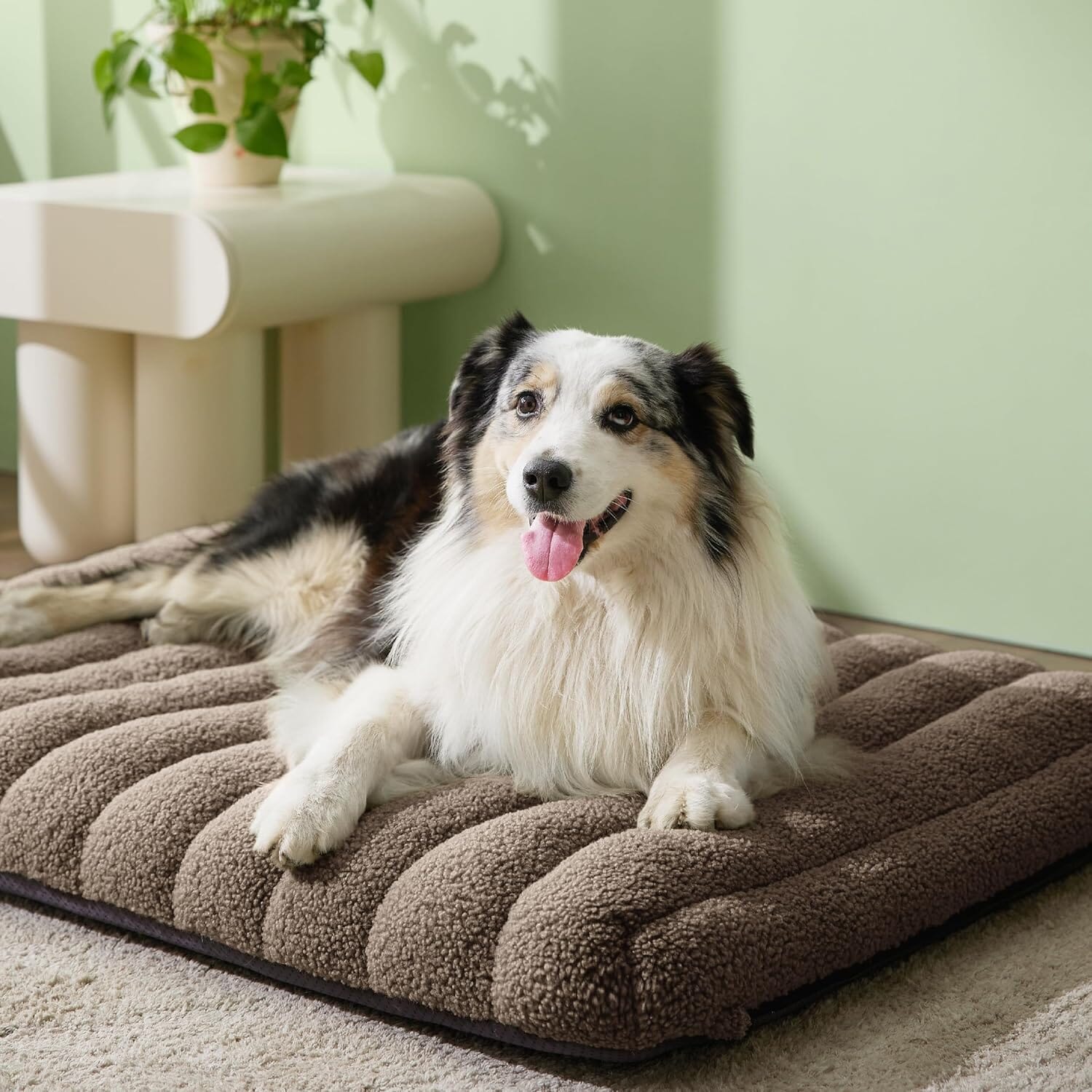 Lesure Orthopedic Dog Bed Pet Bed Lesure Pet