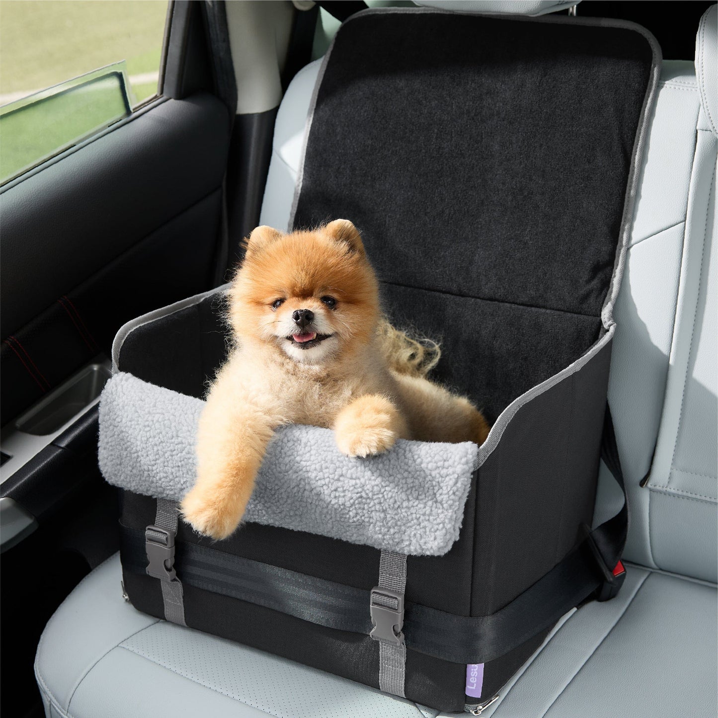Frame car nest Lesure Pet