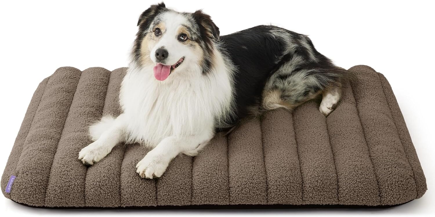 Lesure Orthopedic Dog Bed Pet Bed Lesure Pet