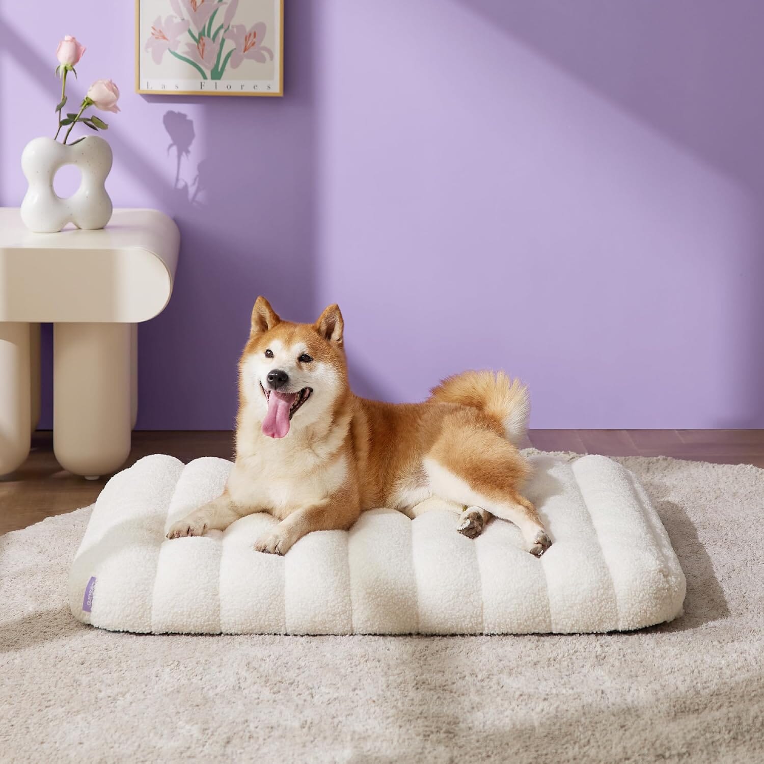 Lesure Orthopedic Dog Bed Pet Bed Lesure Pet