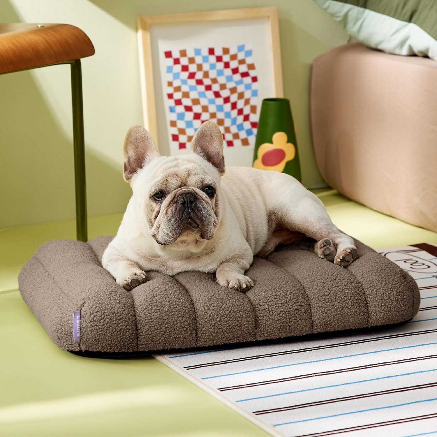 Lesure Orthopedic Dog Bed Pet Bed Lesure Pet