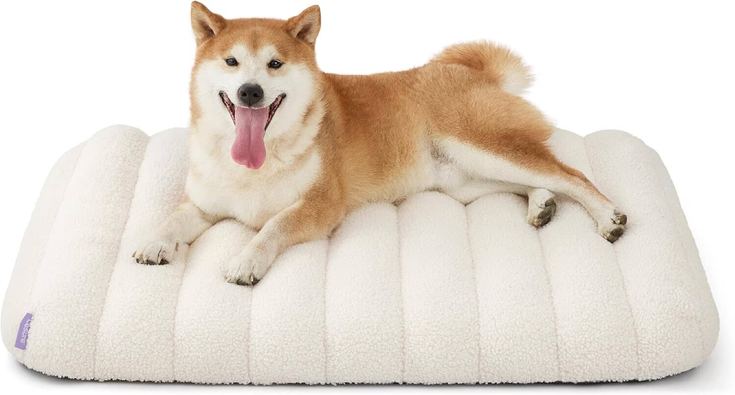Lesure Orthopedic Dog Bed Pet Bed Lesure Pet