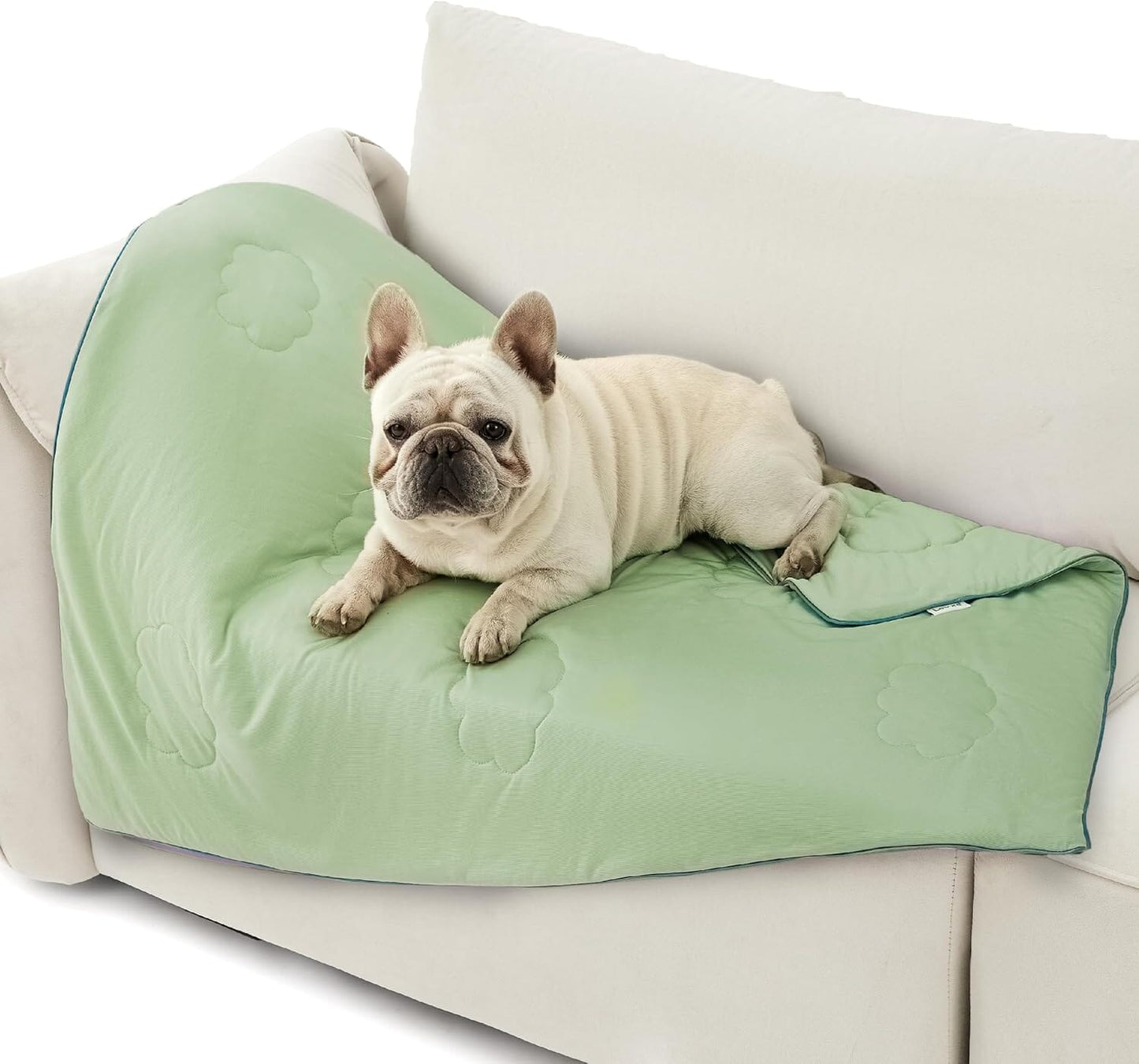 Lesure Cooling Blanket for Cat/Dog Puppy Blanket Lesure Pet