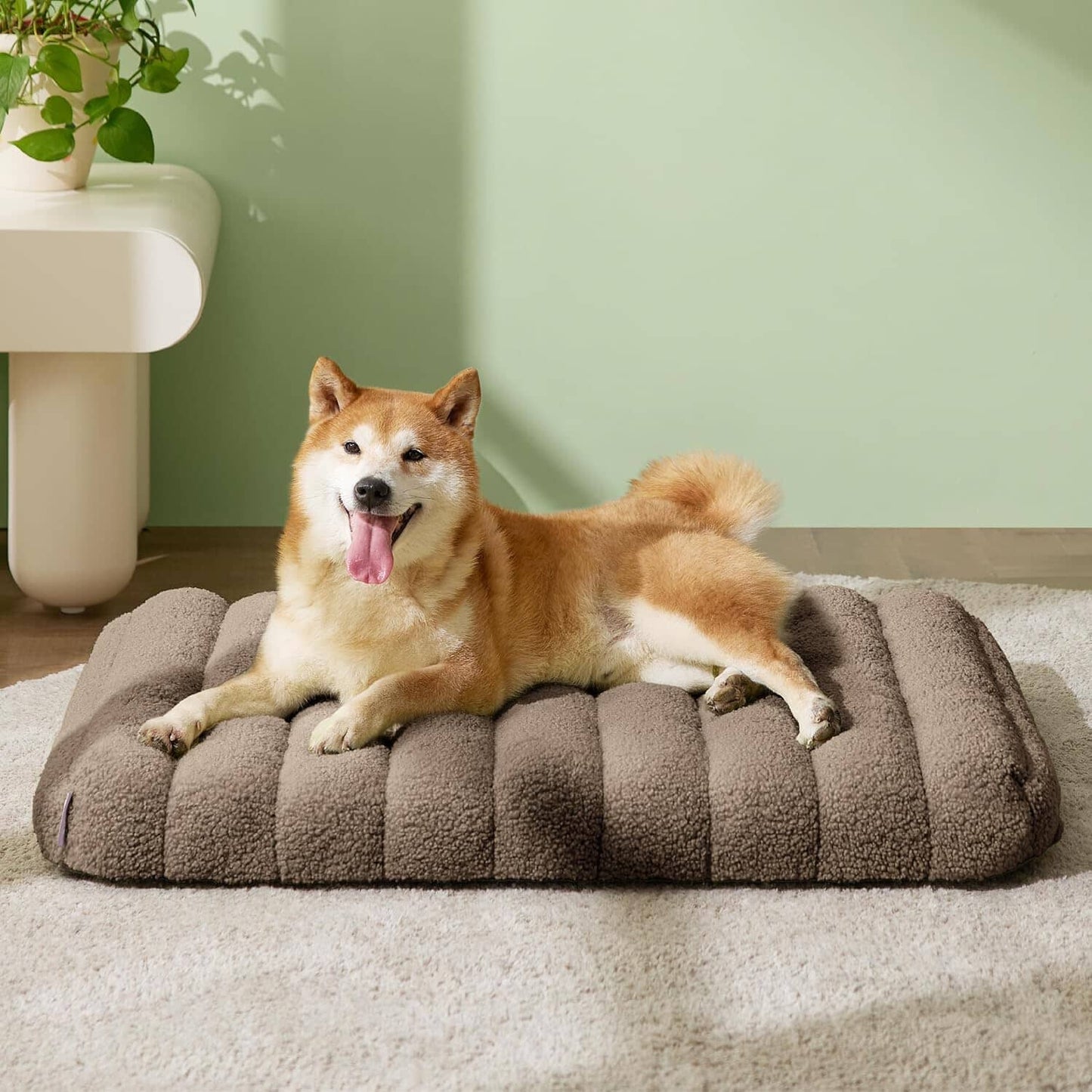 Lesure Orthopedic Dog Bed Pet Bed Lesure Pet