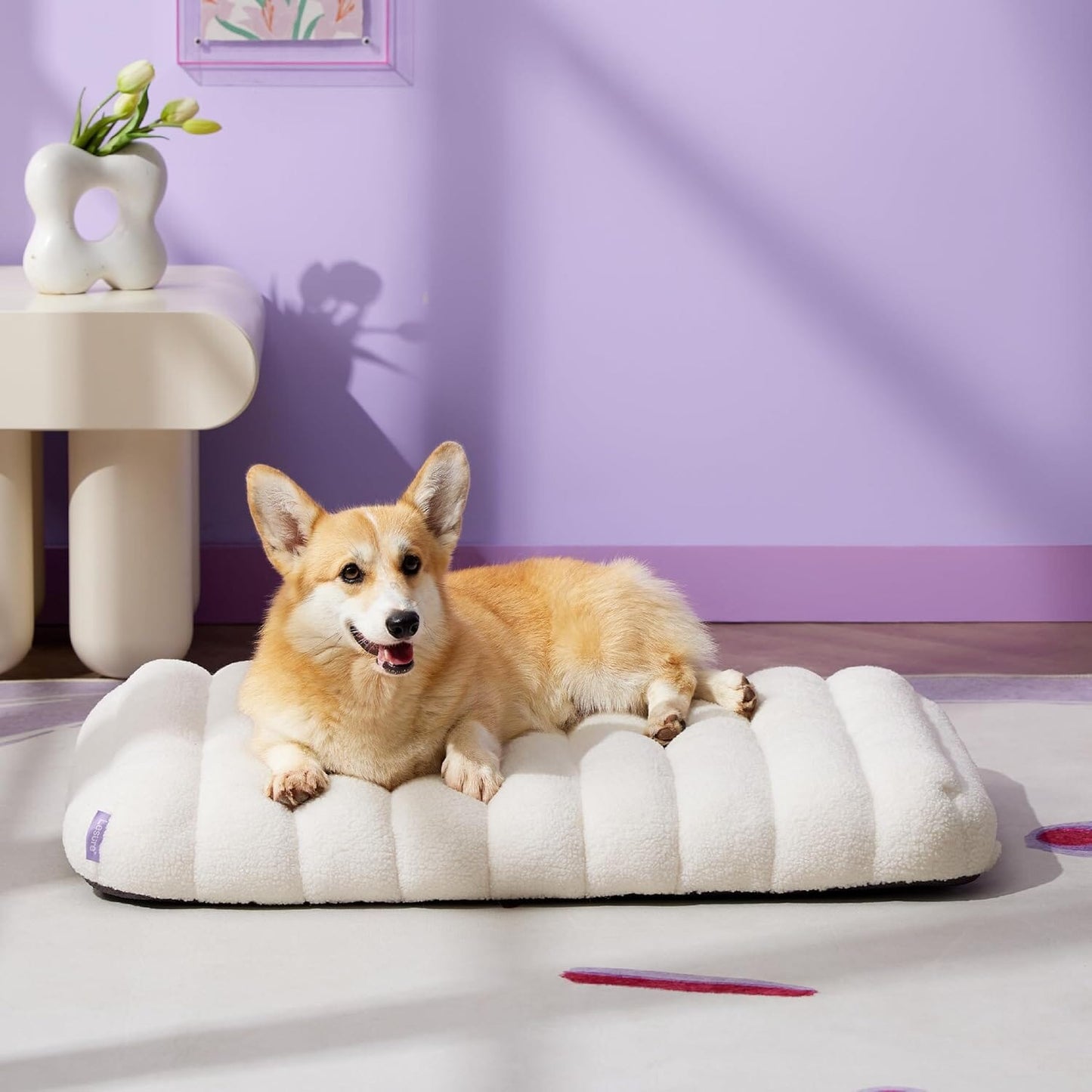 Lesure Orthopedic Dog Bed Pet Bed Lesure Pet