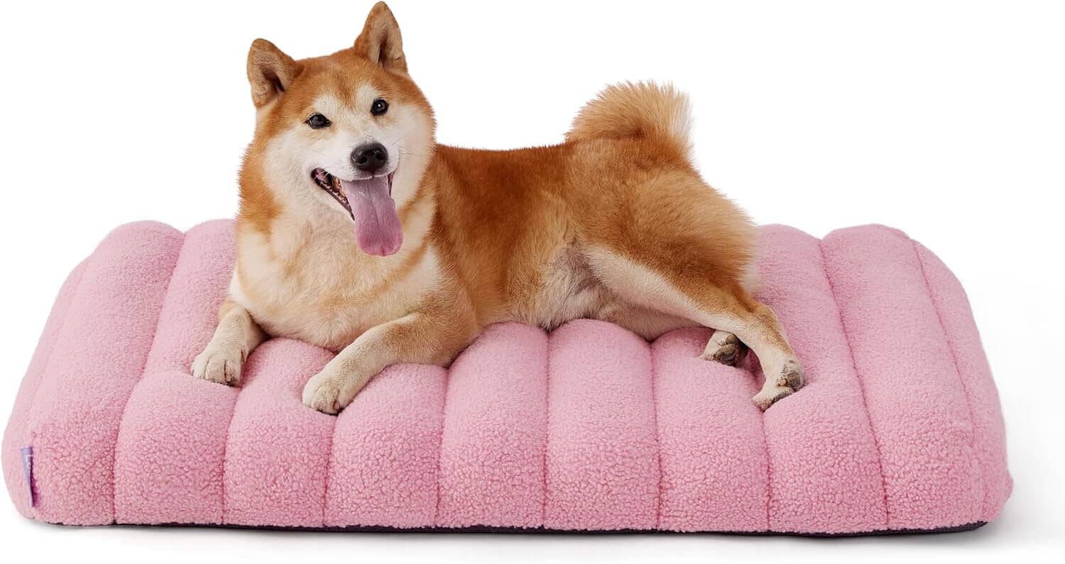 Lesure Orthopedic Dog Bed Pet Bed Lesure Pet
