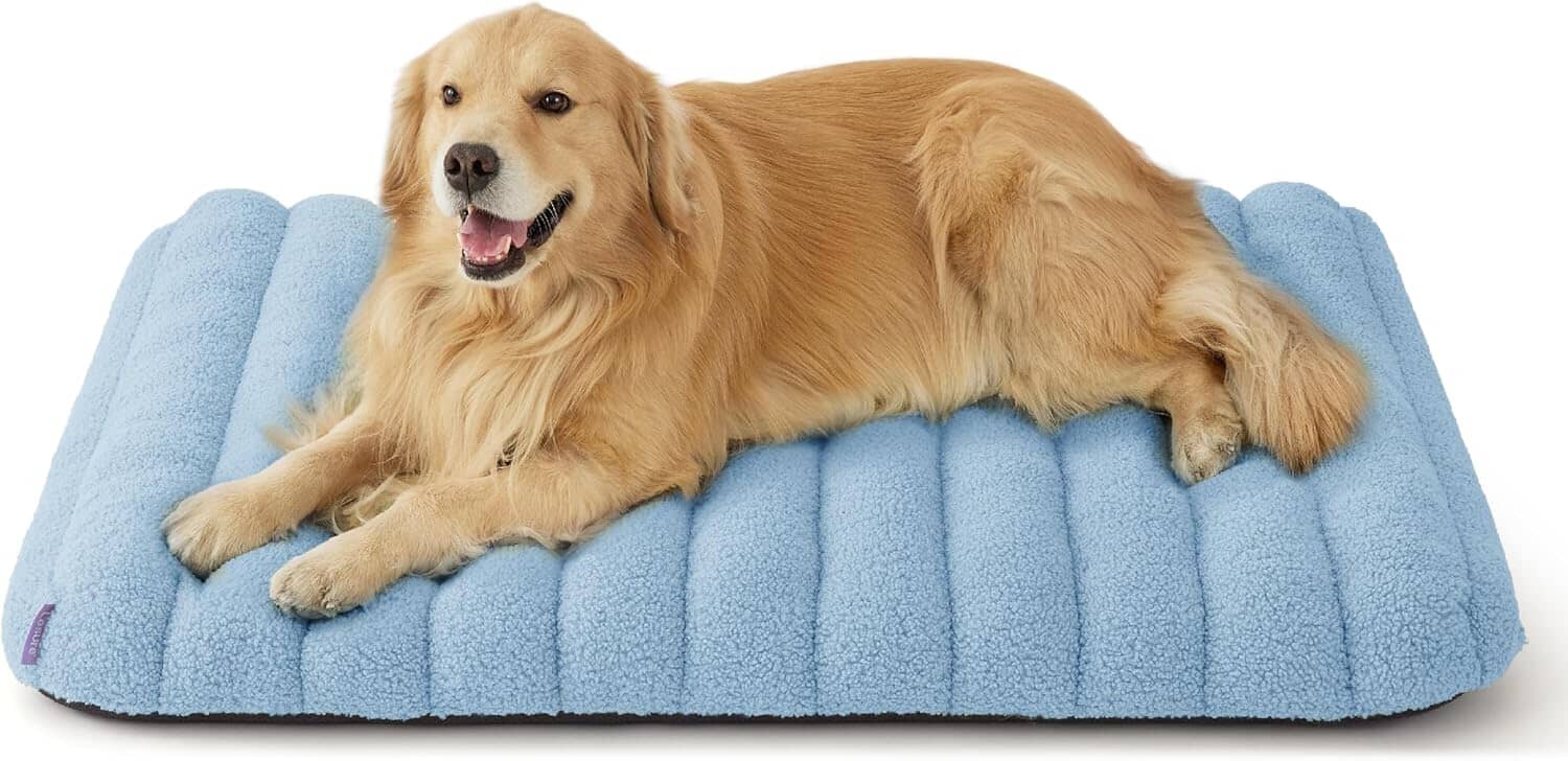 Lesure Orthopedic Dog Bed Pet Bed Lesure Pet
