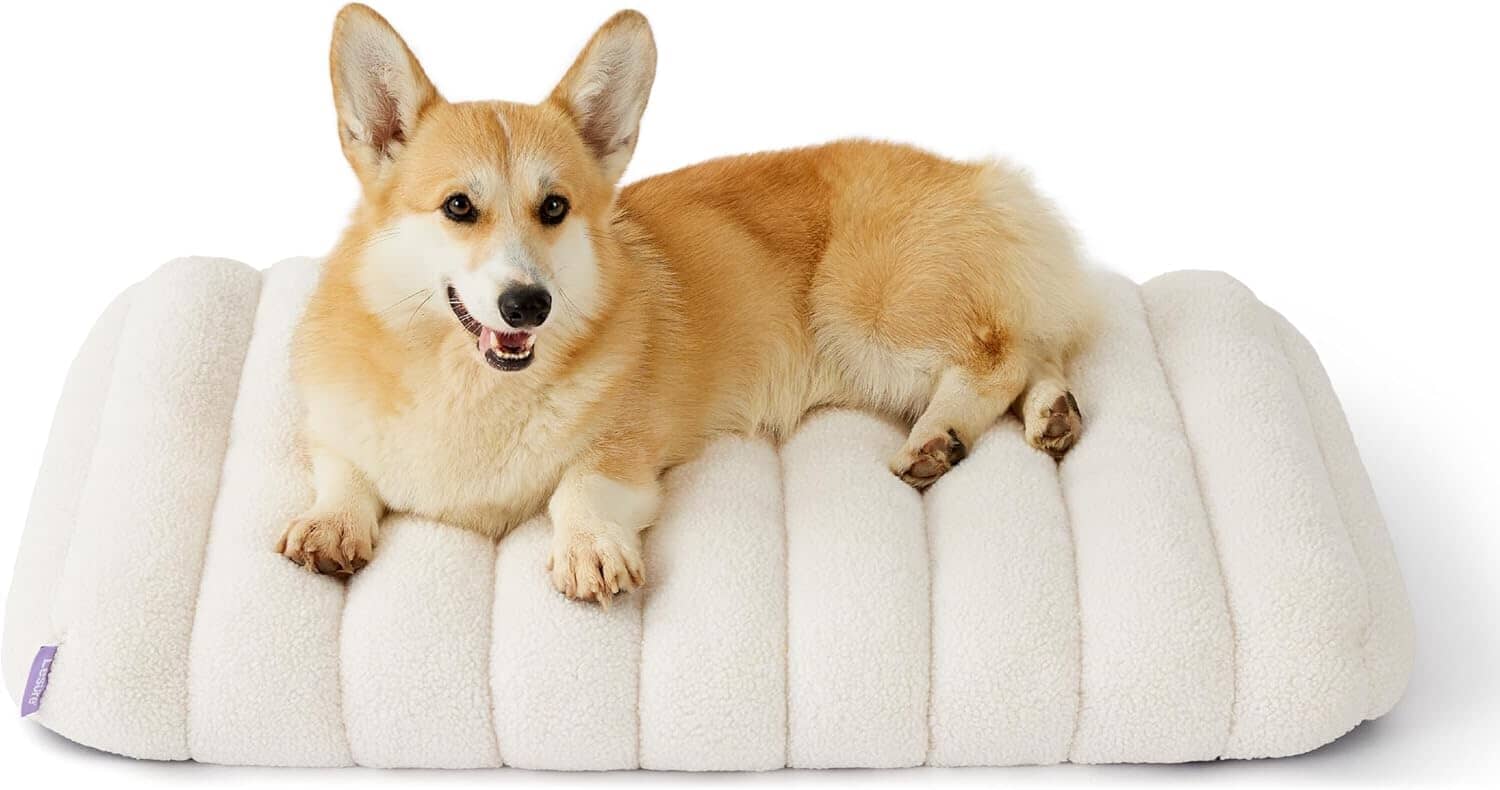 Lesure Orthopedic Dog Bed Pet Bed Lesure Pet