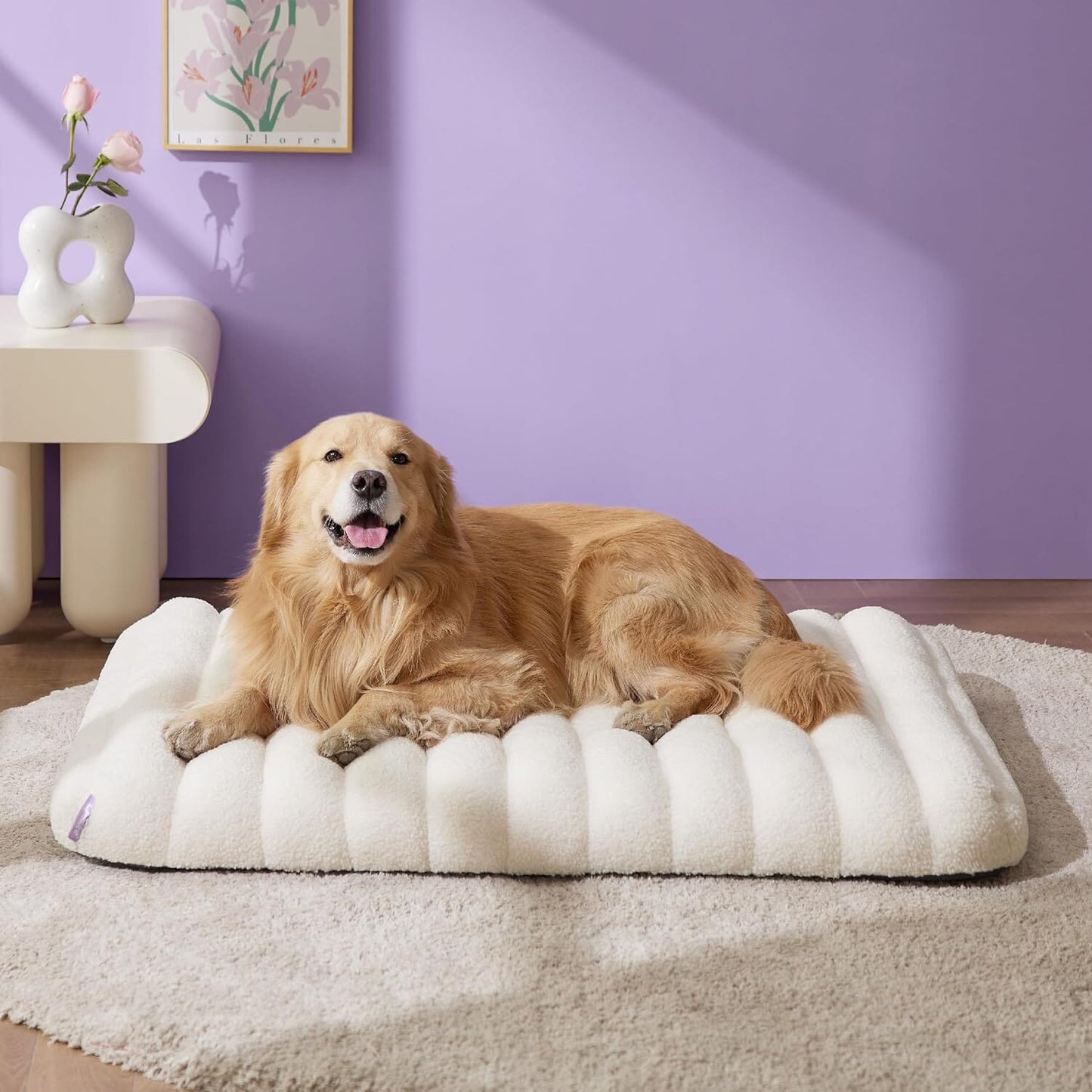 Lesure Orthopedic Dog Bed Pet Bed Lesure Pet