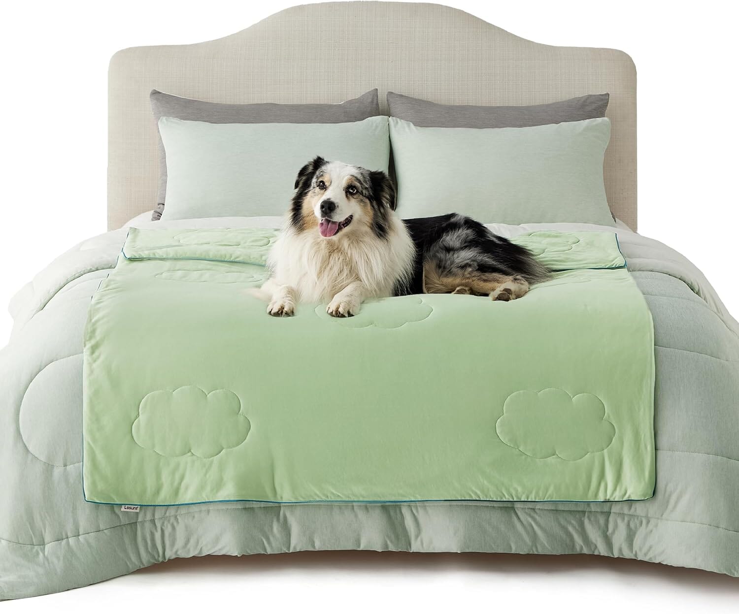 Lesure Cooling Blanket for Cat/Dog Puppy Blanket Lesure Pet