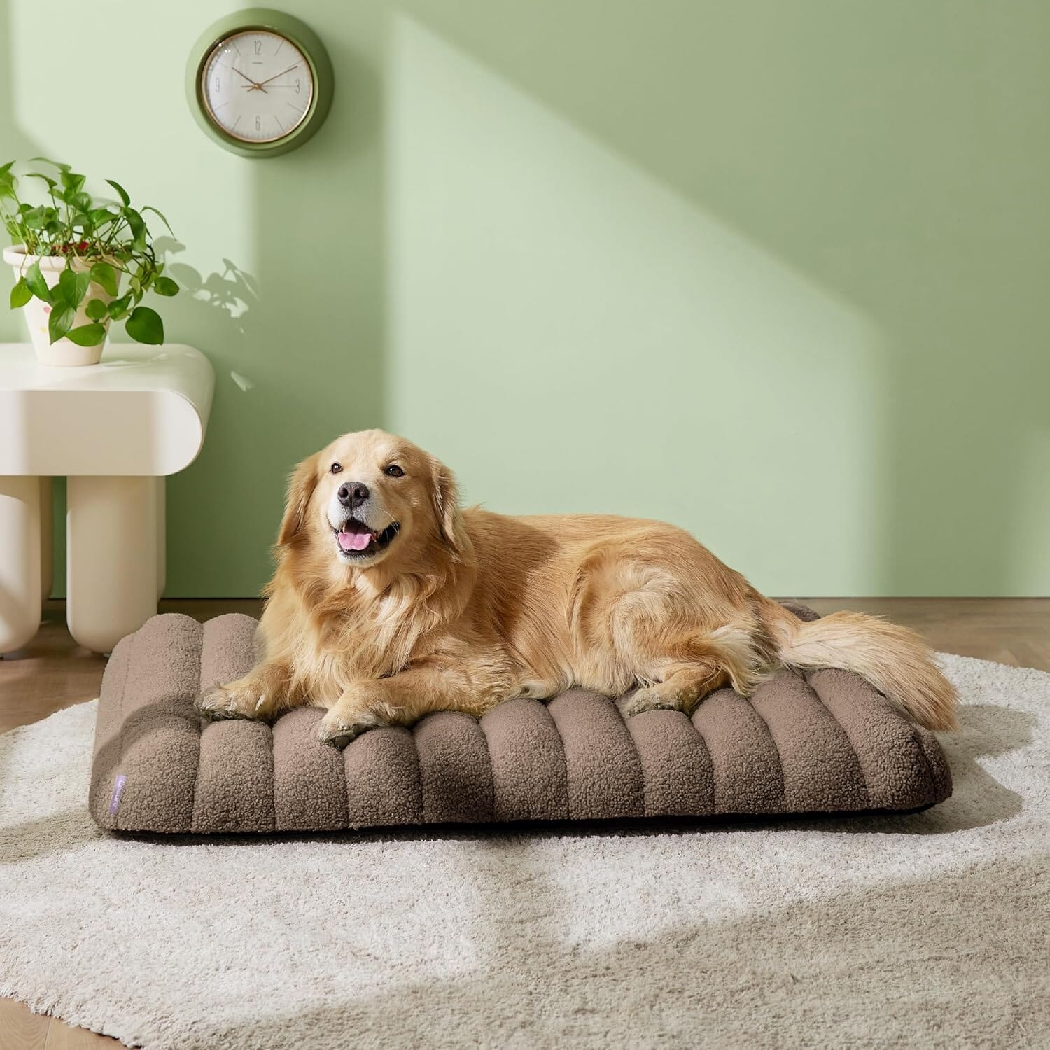Lesure Orthopedic Dog Bed Pet Bed Lesure Pet