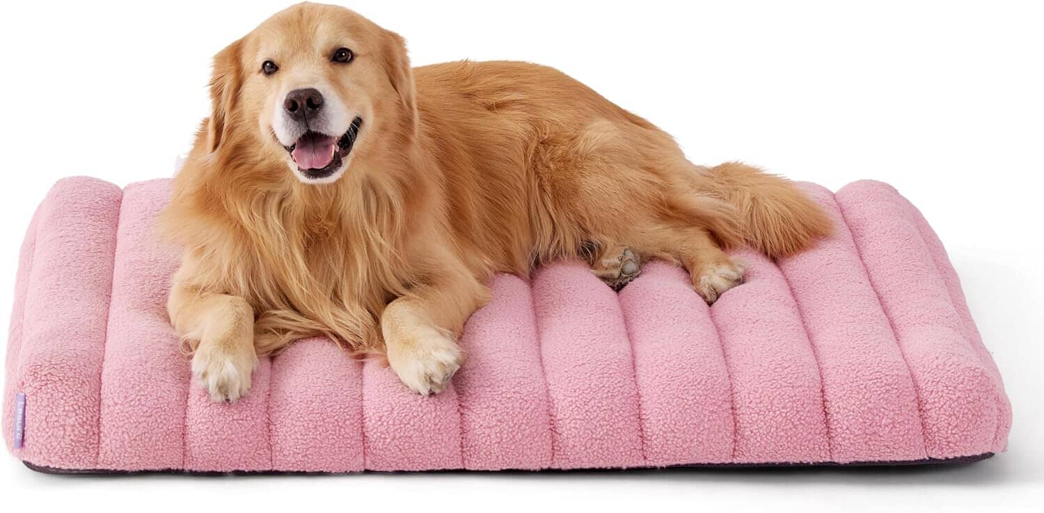 Lesure Orthopedic Dog Bed Pet Bed Lesure Pet