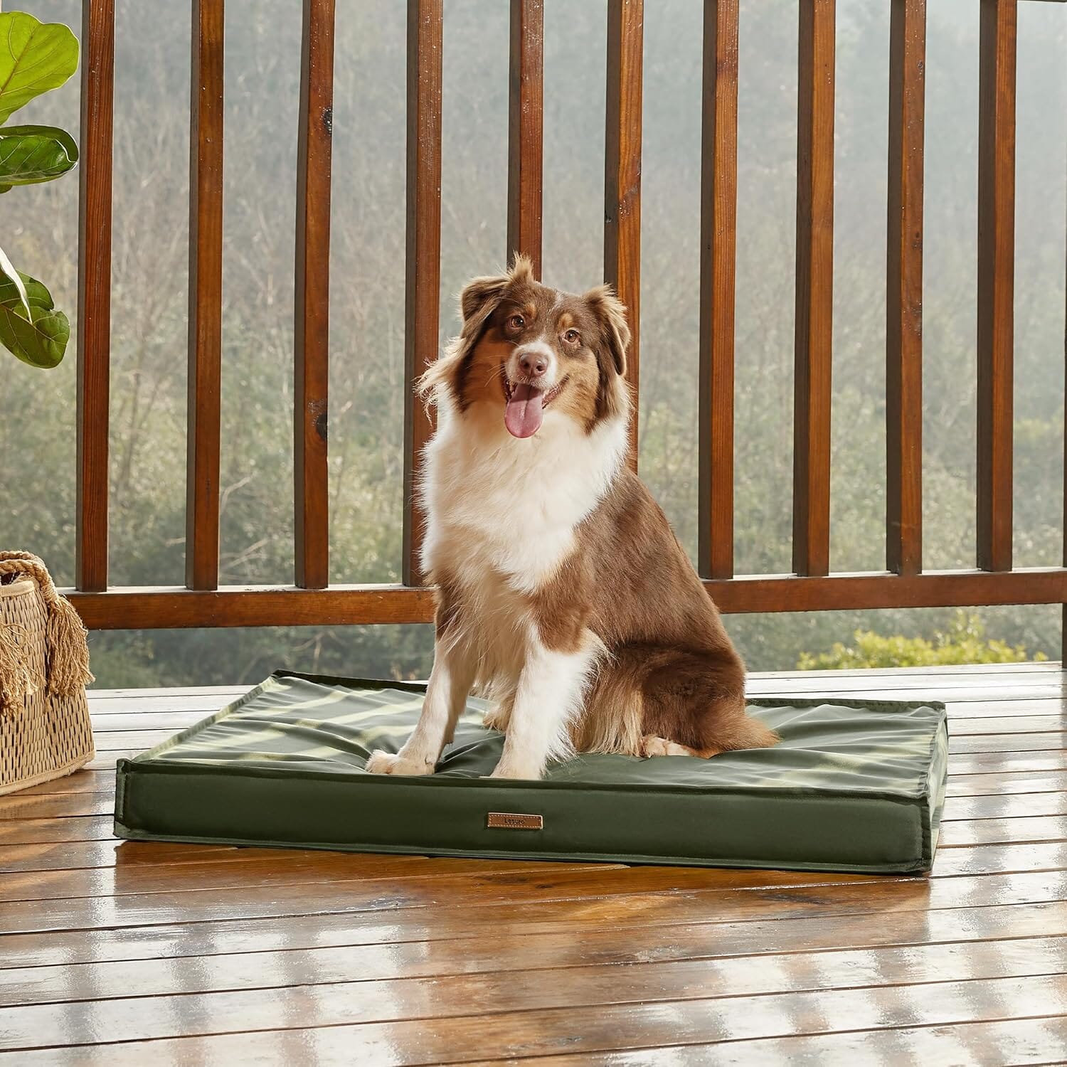Lesure Waterproof Dog Bed Pet Bed Lesure Pet