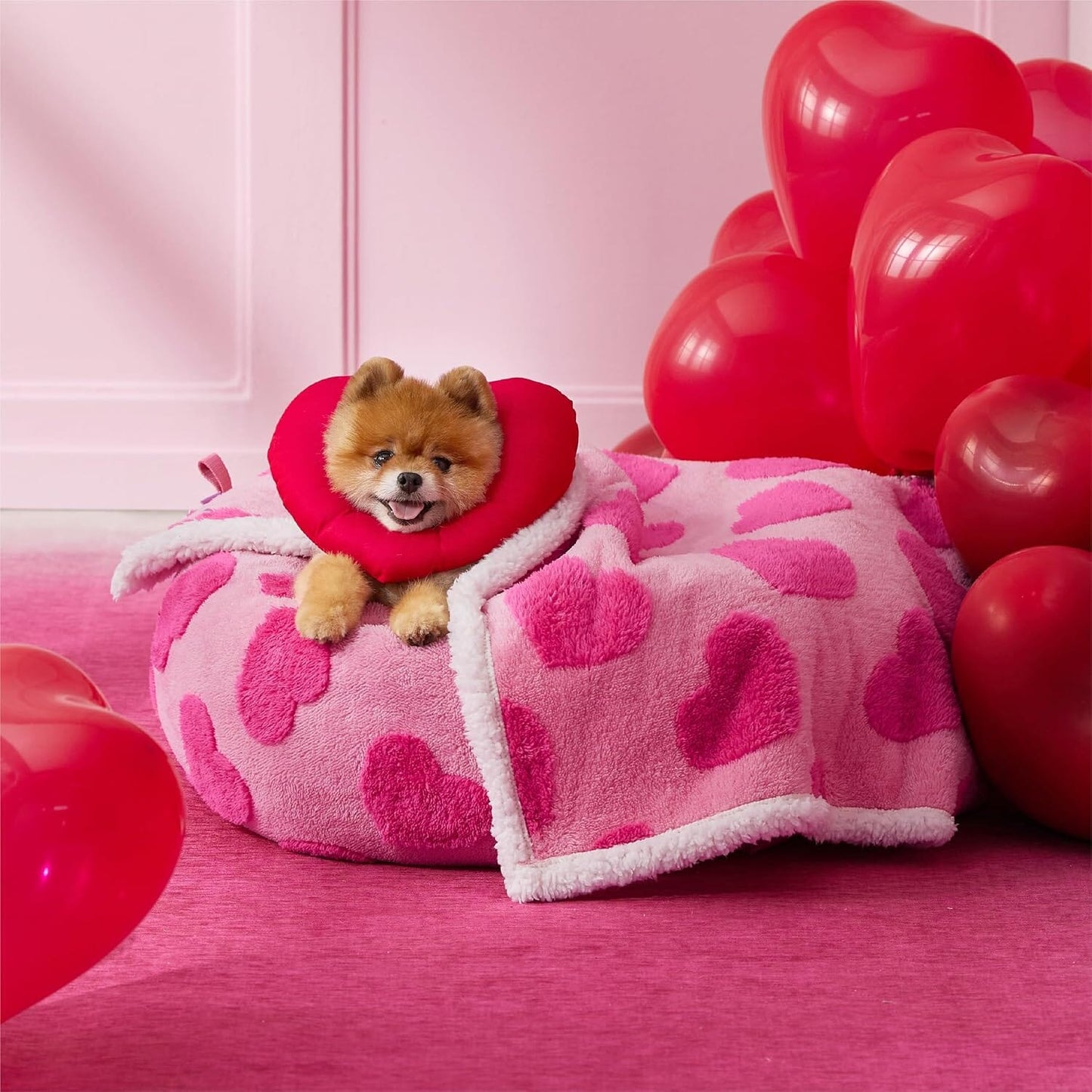 Lesure Waterproof Puppy Blanket for Dog/Cat Puppy Blanket Lesure Pet