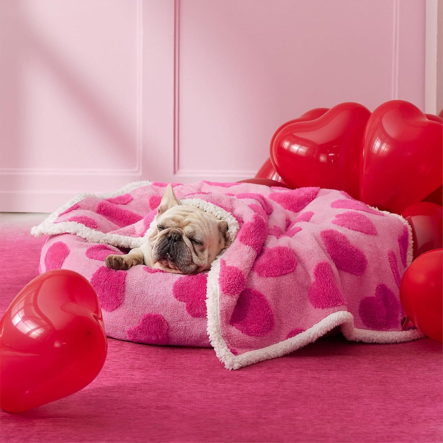Lesure Waterproof Puppy Blanket for Dog/Cat Puppy Blanket Lesure Pet