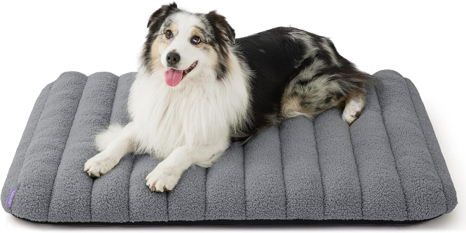 Lesure Orthopedic Dog Bed Pet Bed Lesure Pet