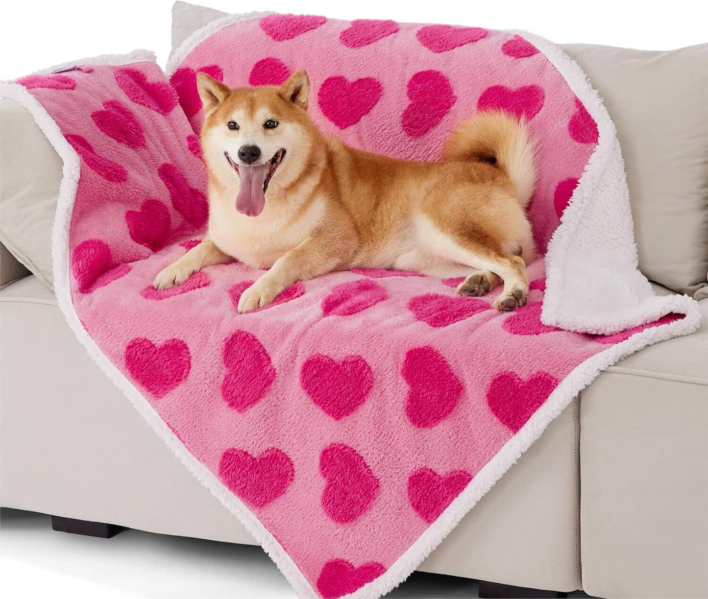 Lesure Waterproof Puppy Blanket for Dog/Cat Puppy Blanket Lesure Pet