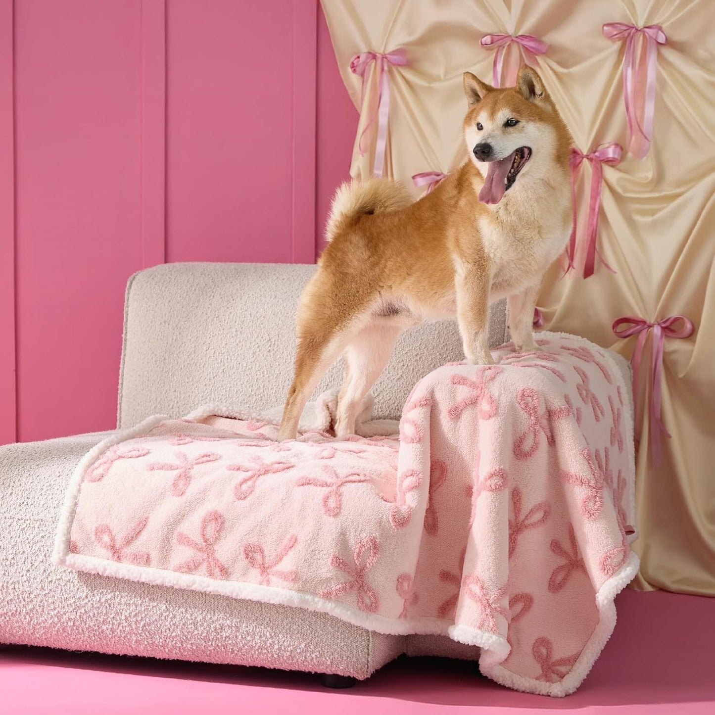 Lesure Waterproof Puppy Blanket for Dog/Cat Puppy Blanket Lesure Pet