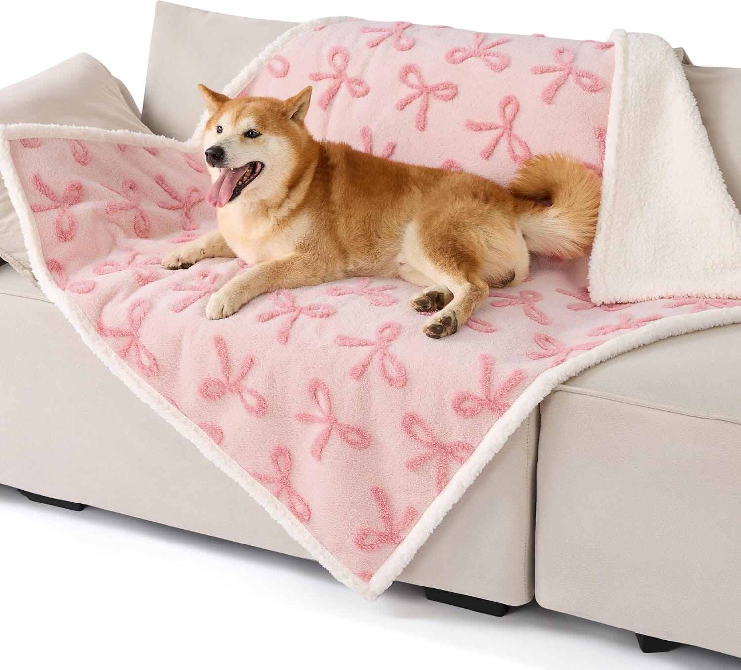 Lesure Waterproof Puppy Blanket for Dog/Cat Puppy Blanket Lesure Pet