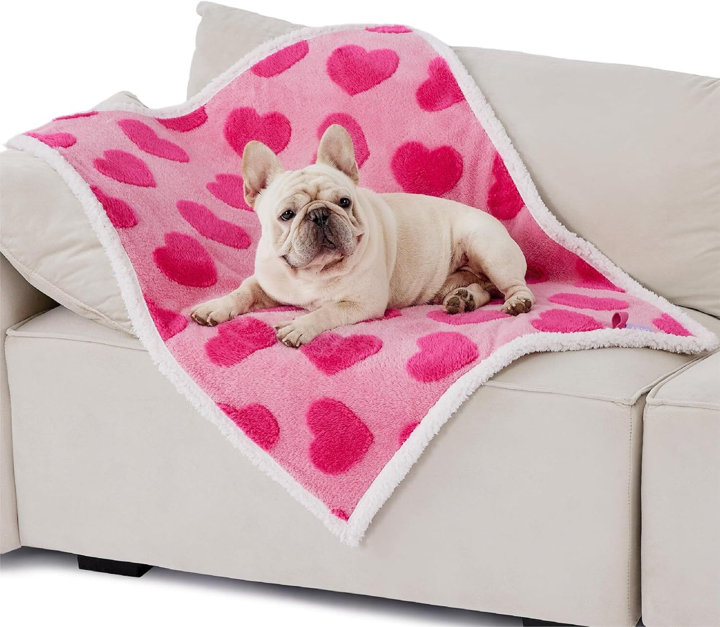 Lesure Waterproof Puppy Blanket for Dog/Cat Puppy Blanket Lesure Pet