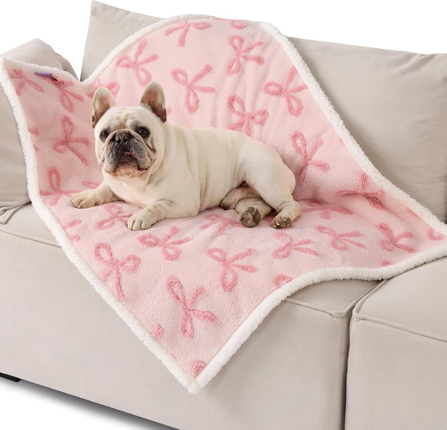 Lesure Waterproof Puppy Blanket for Dog/Cat Puppy Blanket Lesure Pet