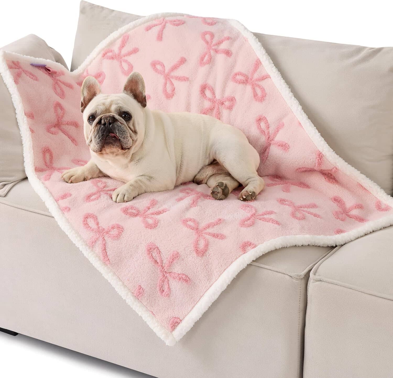 Lesure Waterproof Puppy Blanket for Dog/Cat Puppy Blanket Lesure Pet