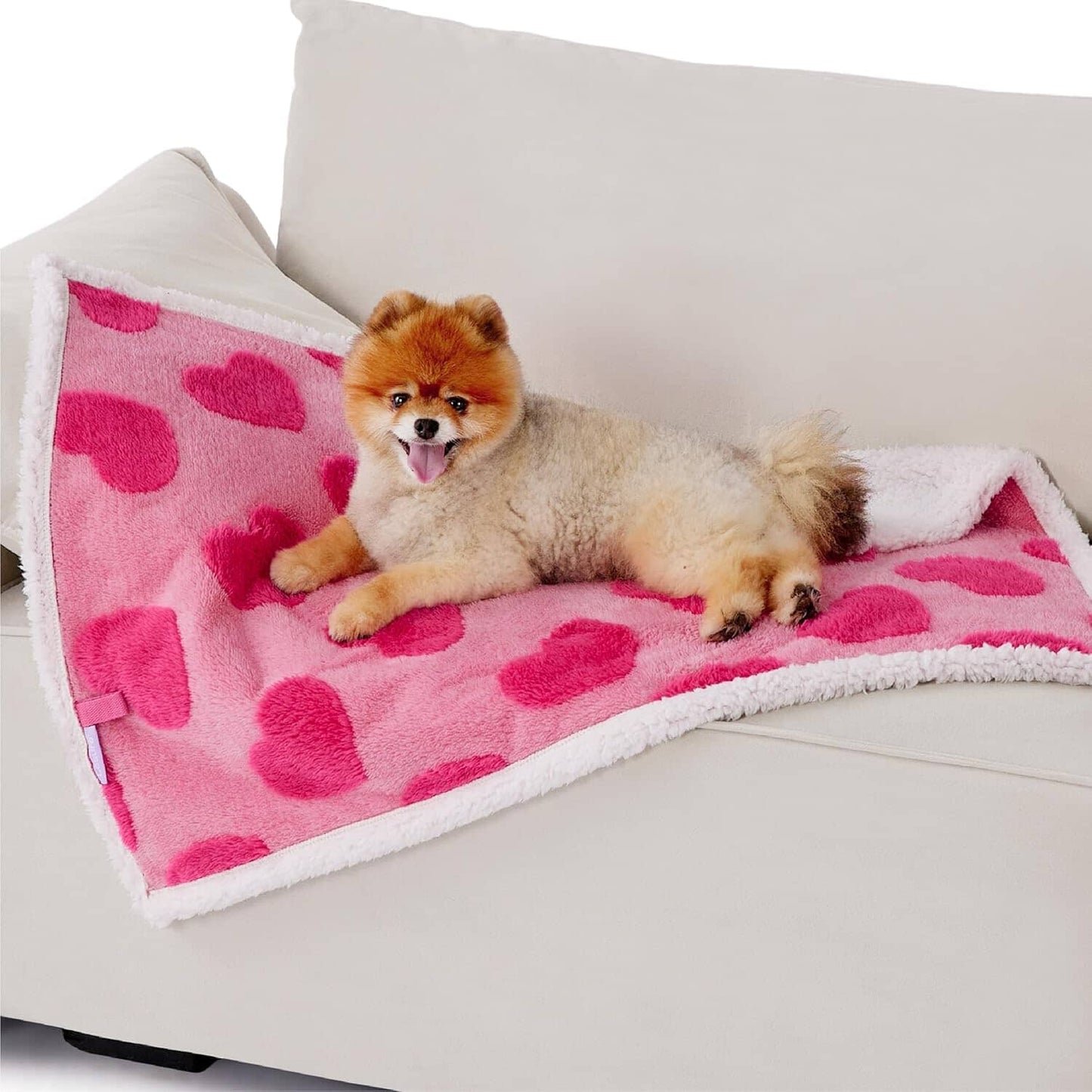 Lesure Waterproof Puppy Blanket for Dog/Cat Puppy Blanket Lesure Pet