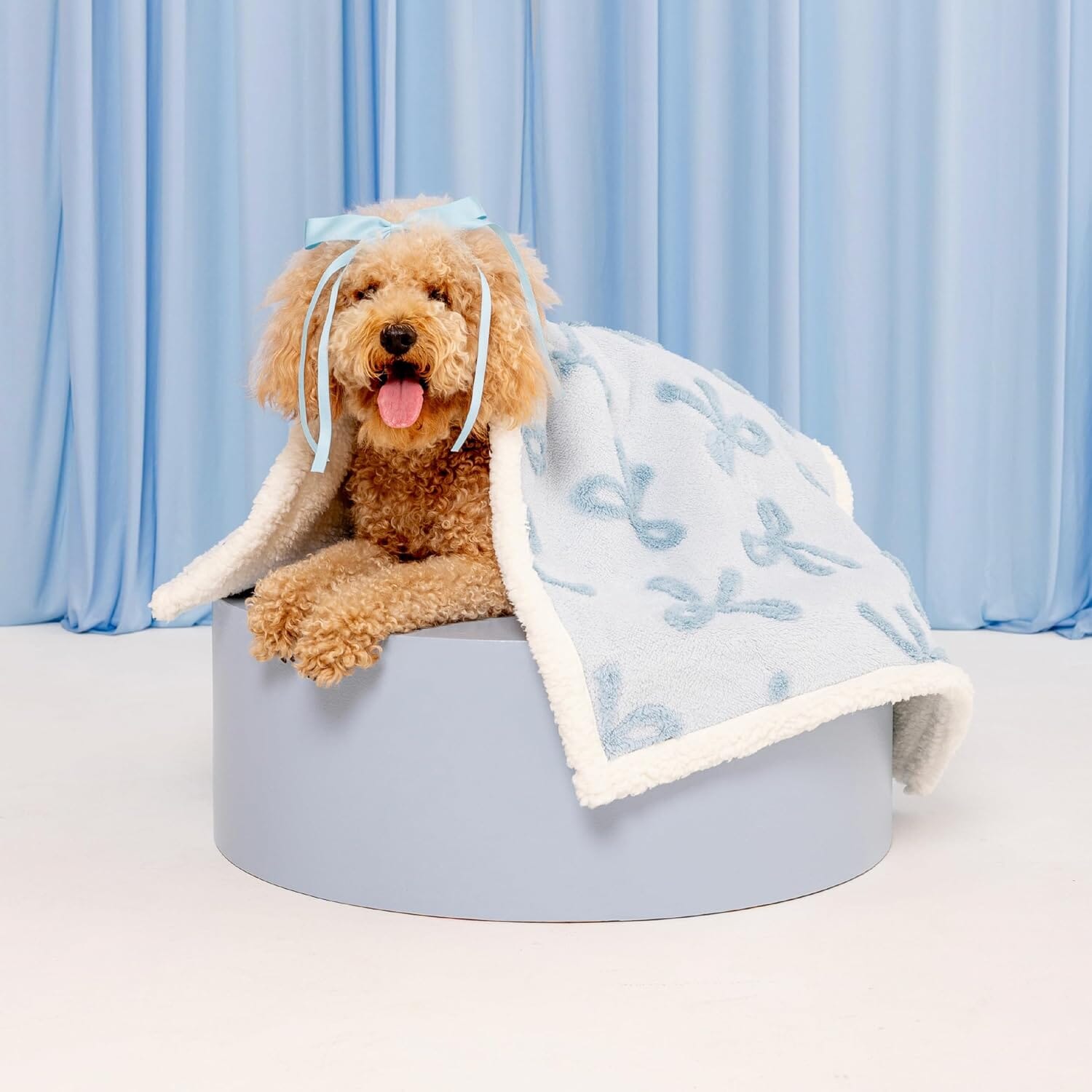 Lesure Waterproof Puppy Blanket for Dog/Cat Puppy Blanket Lesure Pet
