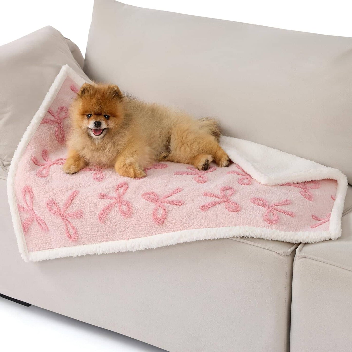 Lesure Waterproof Puppy Blanket for Dog/Cat Puppy Blanket Lesure Pet