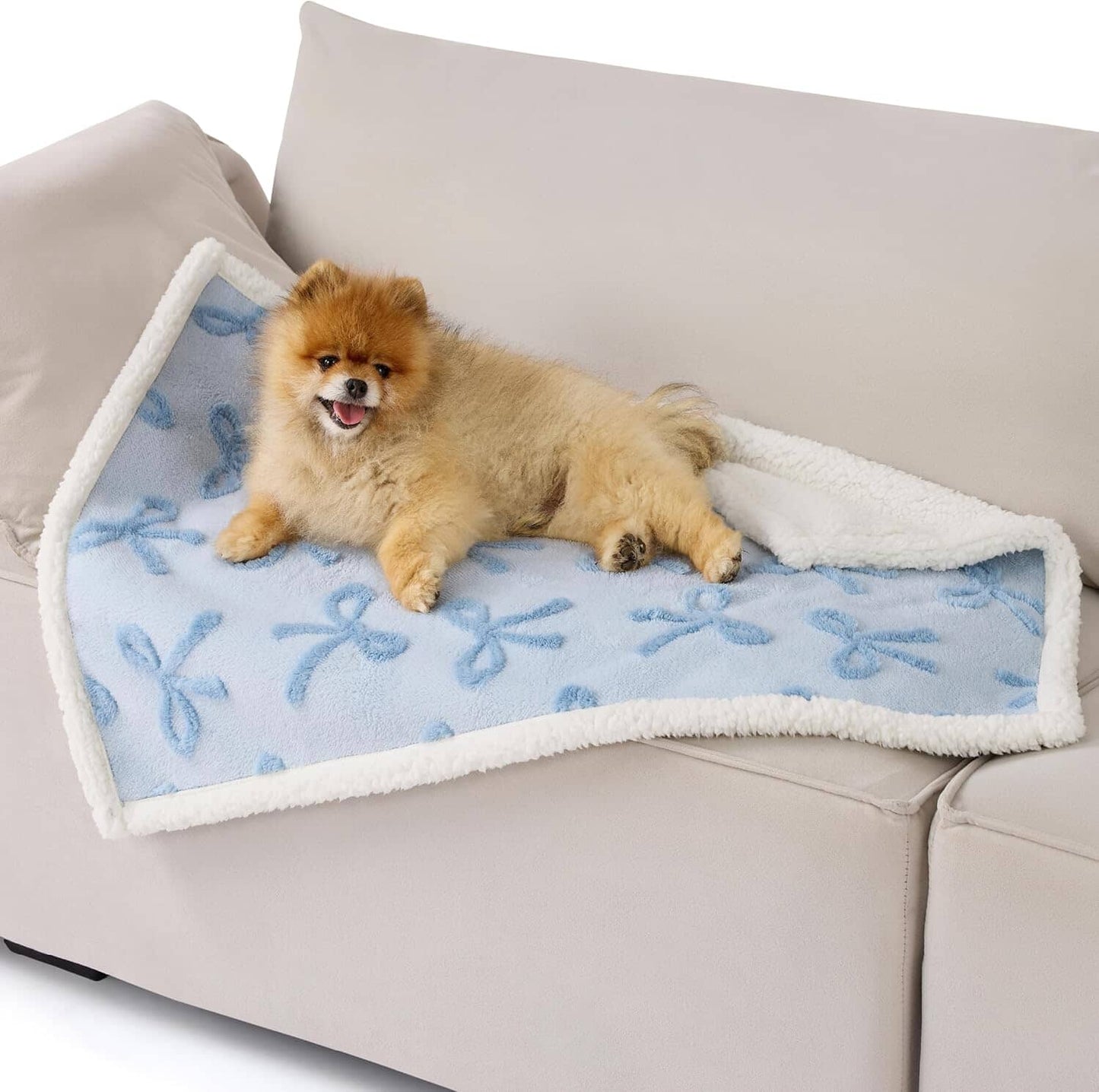 Lesure Waterproof Puppy Blanket for Dog/Cat Puppy Blanket Lesure Pet