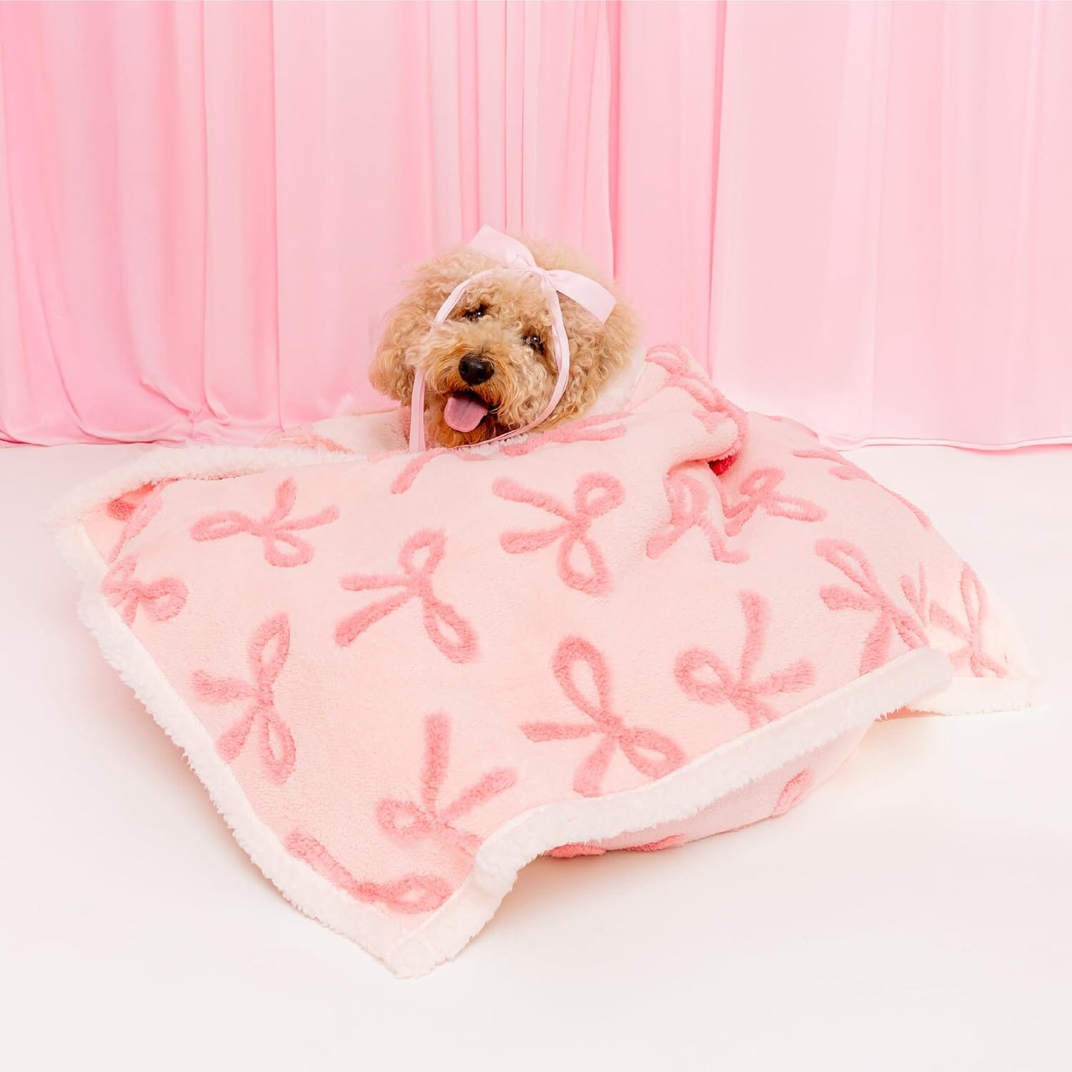 Lesure Waterproof Puppy Blanket for Dog/Cat Puppy Blanket Lesure Pet