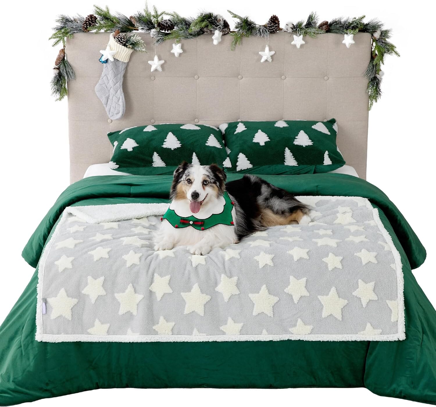 Lesure Waterproof Puppy Blanket for Dog/Cat Puppy Blanket Lesure Pet