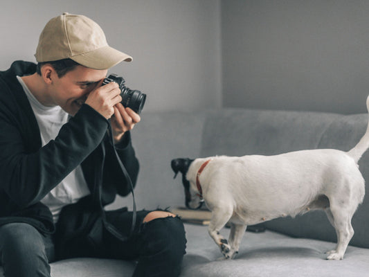 The World of Pet Influencers: Behind the Scenes