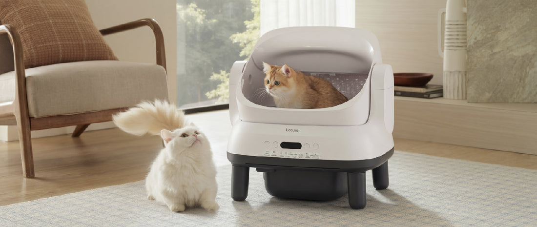 Meet: The Electronic Litter Box