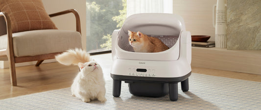 Meet The Self-Cleaning Electronic Litter Box