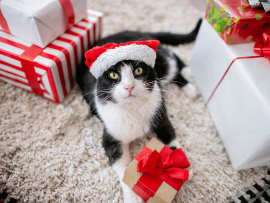 The Ultimate Gift Guide for Cat Lovers: Top Picks from Lesure