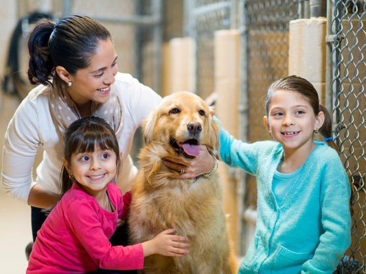 Embrace Spring by Participating in Pet Charity Events