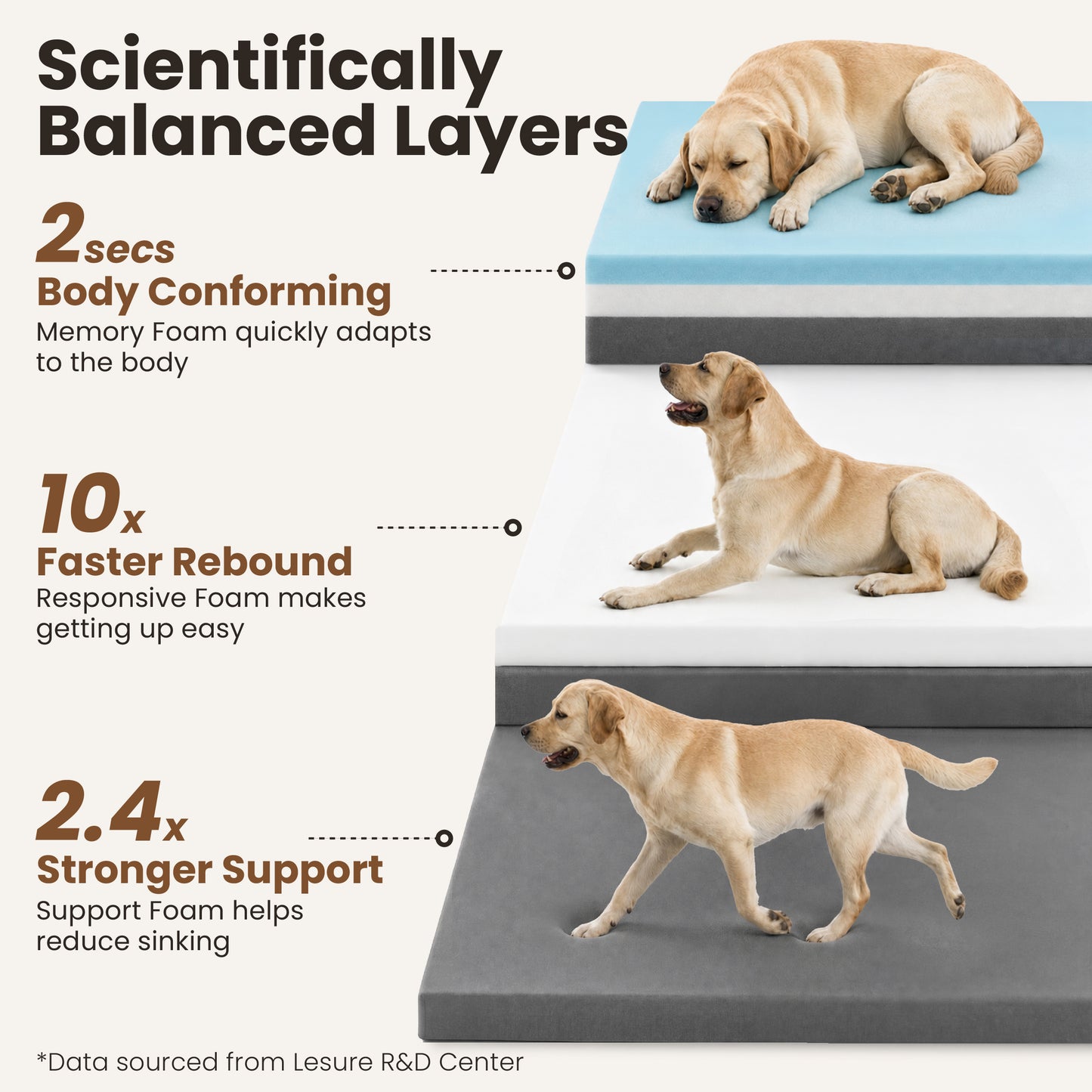 Lesure RealOrtho™ Dog Bed