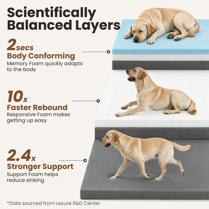 Lesure RealOrtho™ Dog Bed