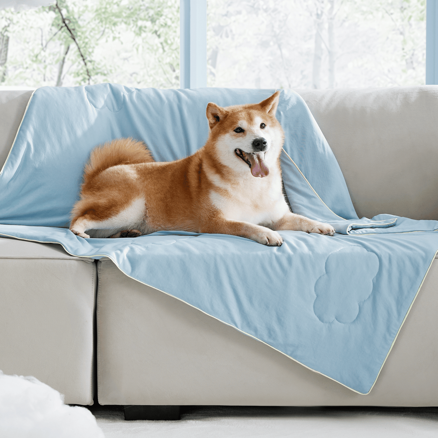 Cooling Pet Blanket