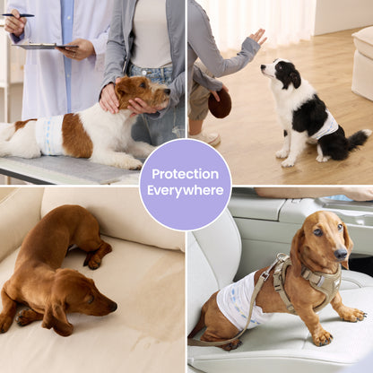 Lesure Disposable Male Dog Diapers